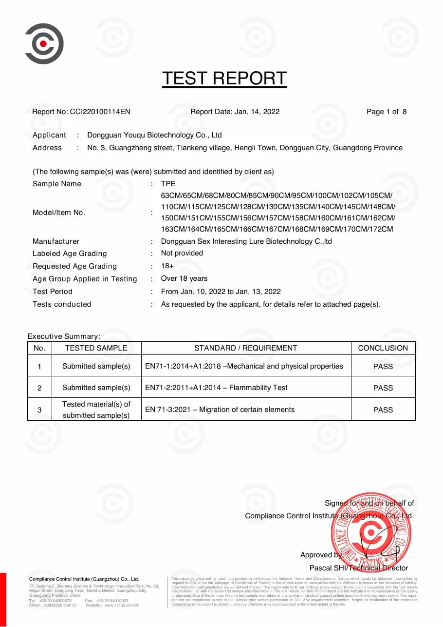 EN71 Test Report first-page preview